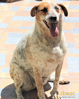 Lorena-Eve - 08 anos