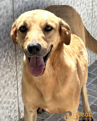 Nicky-Caucaia - 05 anos