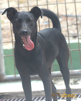 Nico-Sabrina- 02 anos