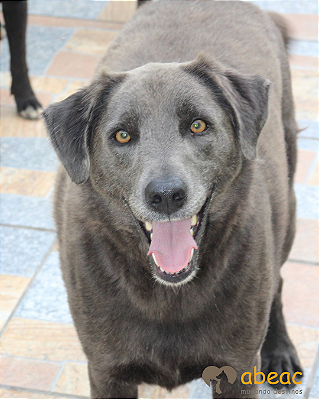 Noah-Tutty - 07 anos