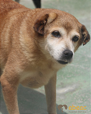 Raquel-Madá - 15 anos