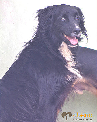 Scott-Wanderléia - 08 anos