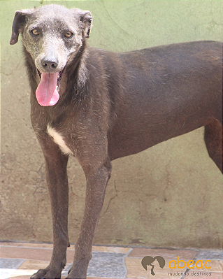 Sofia-Tutty - 07 anos