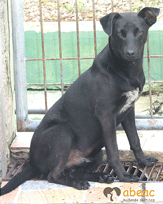 Spyke-Sabrina - 02 anos