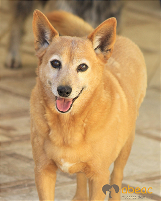 Solano-Eve - 10 anos