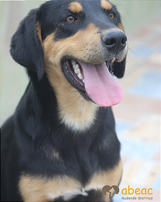 Tobias - Betina - 04 anos