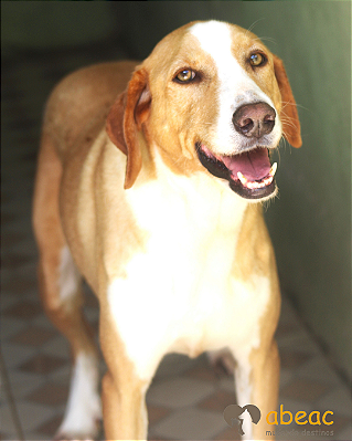 Tobias-Pretinha - 09 anos