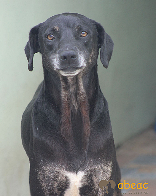 Uriel-Inês - 12 anos