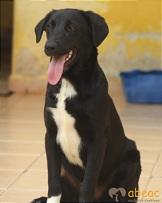 Afrodite-Caucaia - 02 anos