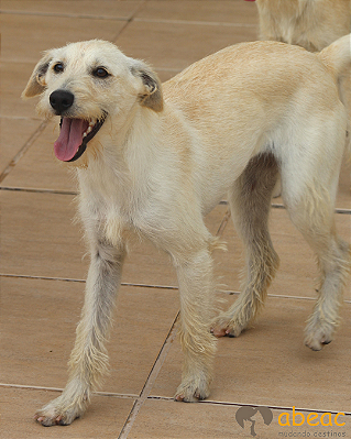 Athena-Caucaia - 02 anos