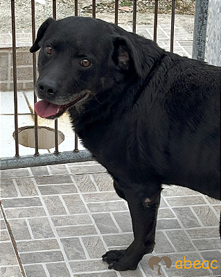 Black-Mairiporã - 05 anos