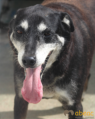 Bob-Valentina - 10 anos