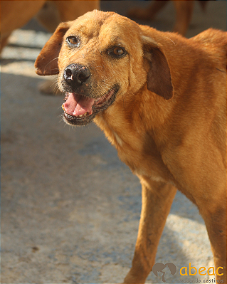 Boris-Mel-pedreira - 16 anos