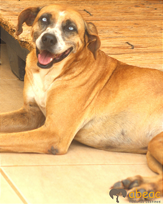 Celeste-Eve - 05 anos