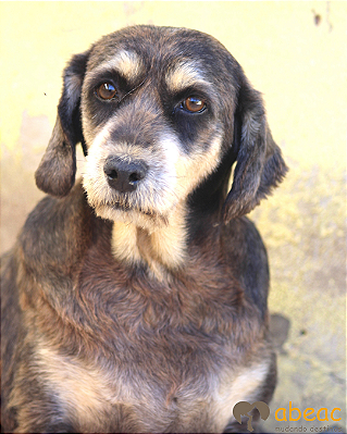 Gorda - Eve - 09 anos