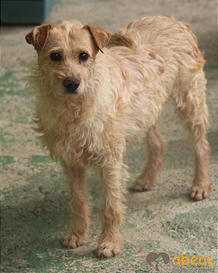 Hestia-Caucaia - 08 anos