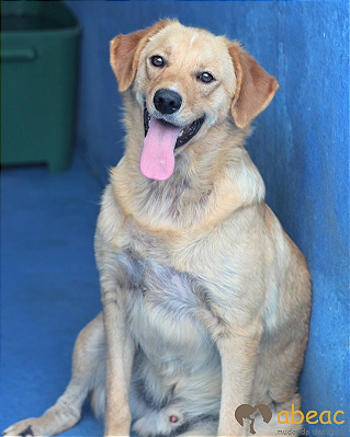 Igor-Vitória - 11 anos