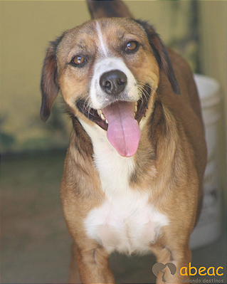 Lupy-Parelheiros - 07 anos