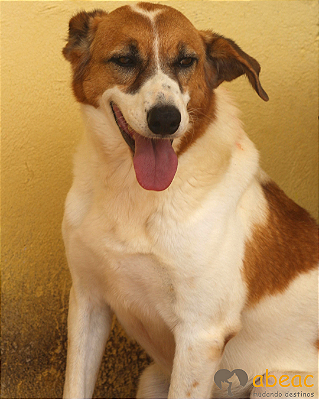 Magali-Eve - 09 anos