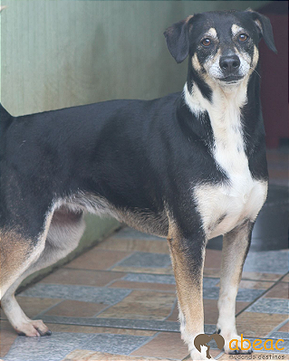 Margarida-Inês - 12 anos