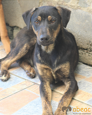 Nicky-Sushi - 04 anos