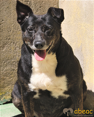 Pandora-Dna Beth - 14 anos