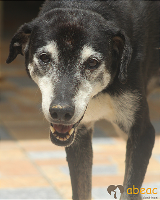 Paty-Alice - 15 anos