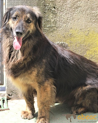 Yuri-Vicky - 11 anos