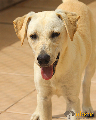 Zeus-Caucaia - 02 anos