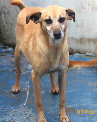 Alice-Caucaia - 09 anos