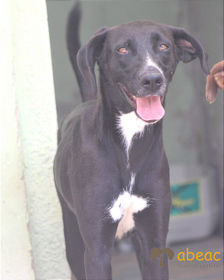 Amora-Sr. Claudio - 07 anos