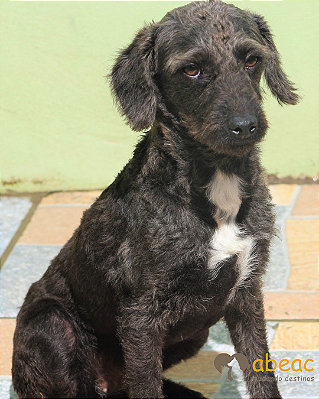 Anita-Ipojuca - 11 anos