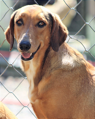 Athena - Sr. Claudio - 09 anos