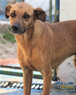 Beny-Caucaia - 09 anos