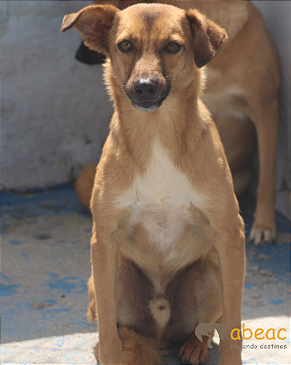 Charles-Eve - 05 anos