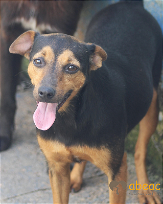 Docinho-Aurora - 05 anos