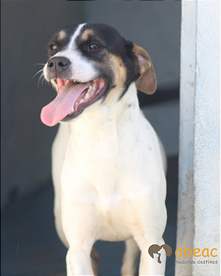 Dolly-Drica - 03 anos