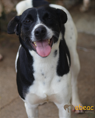 Drica-Caucaia - 06 anos