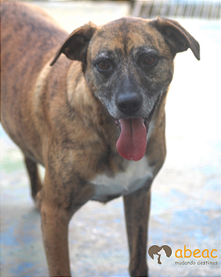 Jimmy-Parelheiros - 05 anos