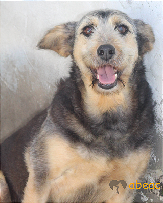 Karina-Embu - 09 anos