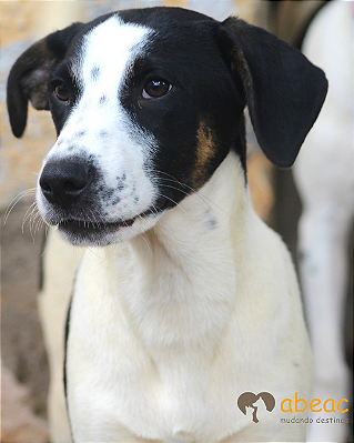 Lyon-Drica - 03 anos - *APADRINHADO*