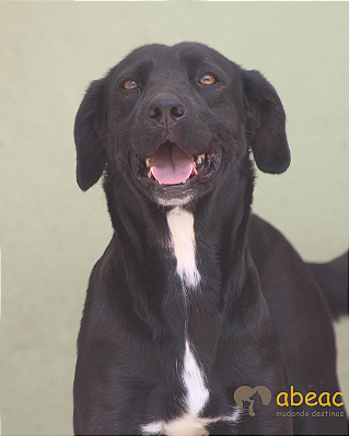 Maria-300 Anjos - 07 anos