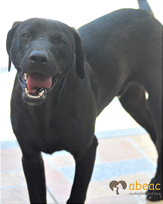 Max-Betina - 04 anos