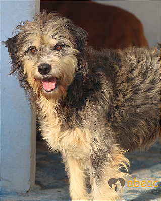 Molly-Lara - 10 anos