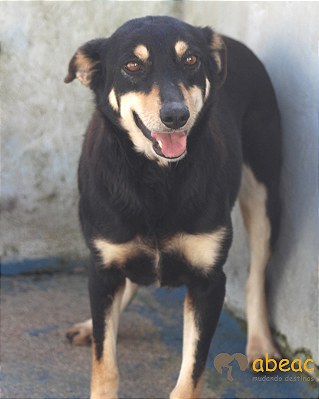 Mônica - Caucaia - 07 anos