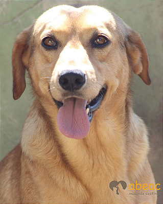 Nico-Sr. Claudio - 09 anos