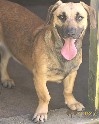 Pablo-Princesa - 05 anos