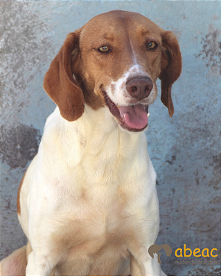 Paçoca-300 Anjos - 09 anos