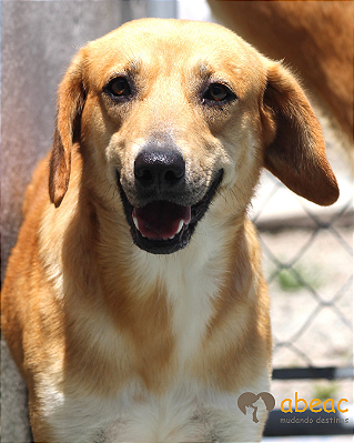 Ryan-Sr. Claudio - 09 anos