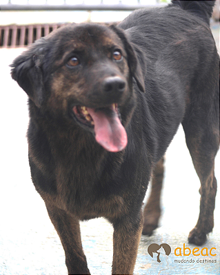 Samuel-Eve - 09 anos